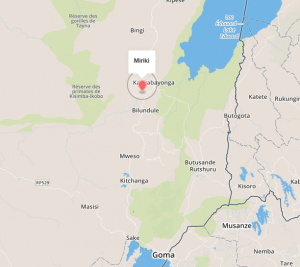 Miriki  : les dangers de la guerre par procuration