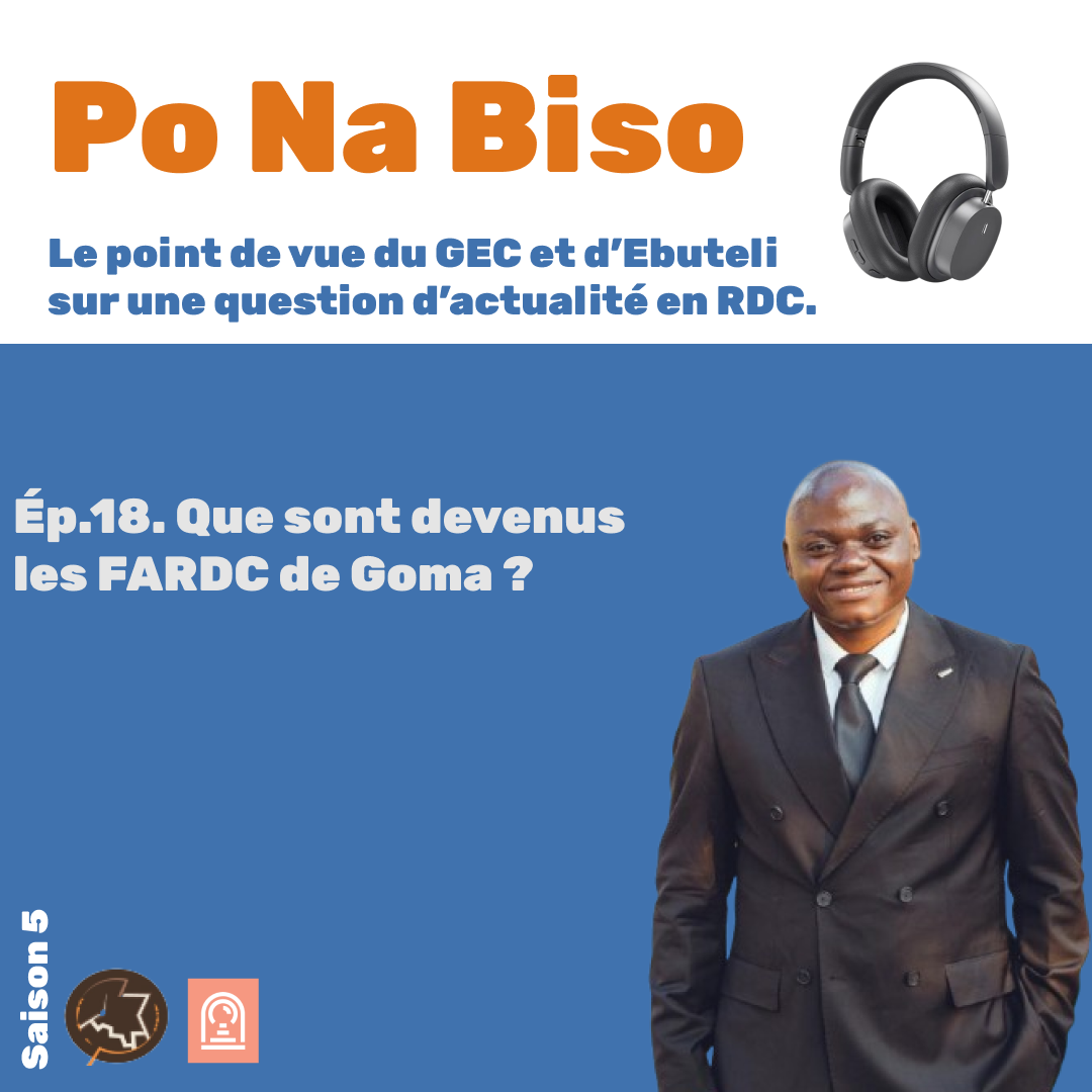 Que sont devenus les FARDC de Goma ?