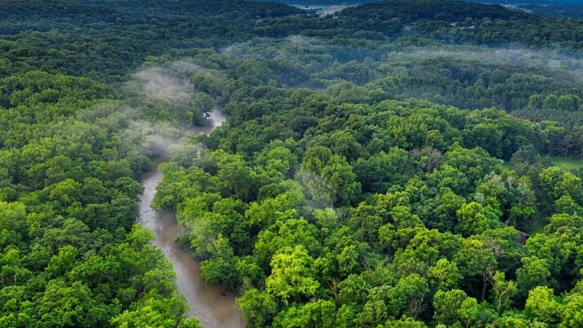  Le Fonaredd face aux défis du financement climatique et de la gouvernance en RDC