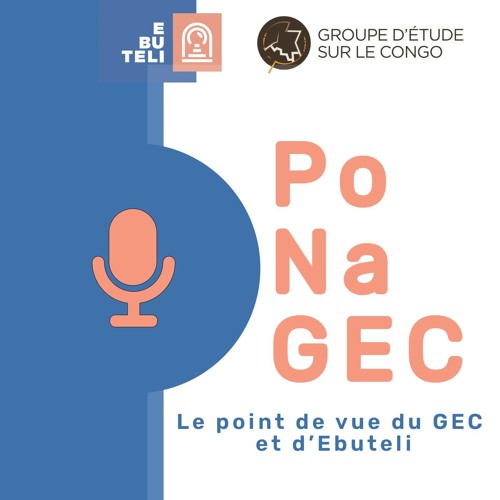 Le boycott des élections en RDC peut-il être une stratégie efficace ?